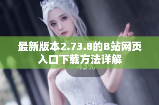 最新版本2.73.8的B站网页入口下载方法详解