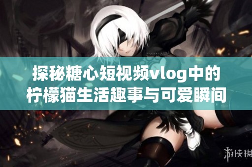 探秘糖心短视频vlog中的柠檬猫生活趣事与可爱瞬间