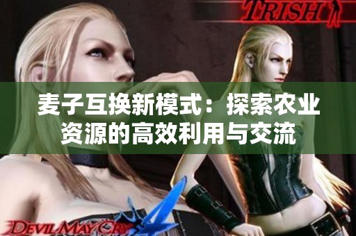 麦子互换新模式：探索农业资源的高效利用与交流