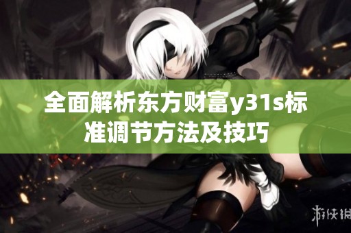 全面解析东方财富y31s标准调节方法及技巧