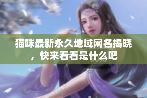 猫咪最新永久地域网名揭晓，快来看看是什么吧