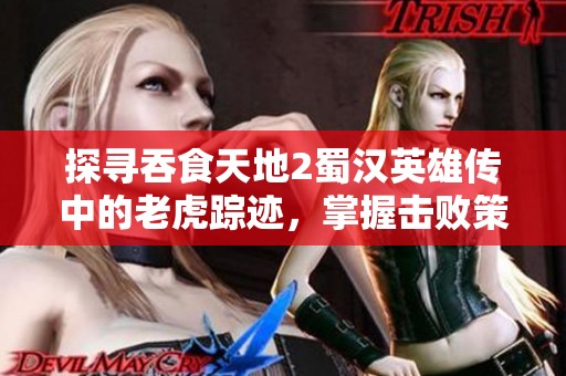 探寻吞食天地2蜀汉英雄传中的老虎踪迹，掌握击败策略之道