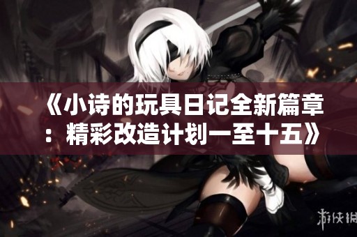 《小诗的玩具日记全新篇章：精彩改造计划一至十五》