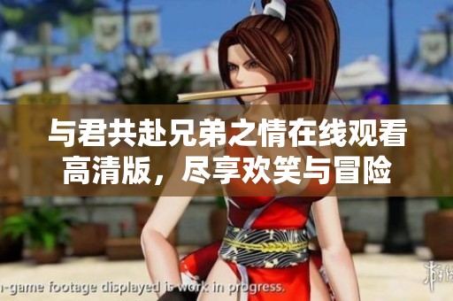 与君共赴兄弟之情在线观看高清版，尽享欢笑与冒险