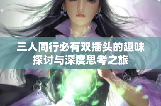 三人同行必有双插头的趣味探讨与深度思考之旅