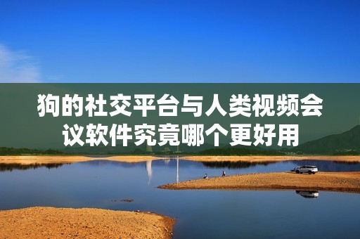 狗的社交平台与人类视频会议软件究竟哪个更好用