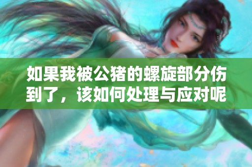如果我被公猪的螺旋部分伤到了，该如何处理与应对呢