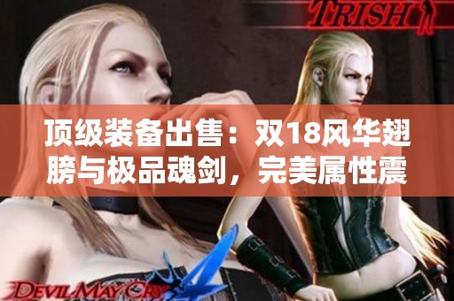 顶级装备出售：双18风华翅膀与极品魂剑，完美属性震撼上线！