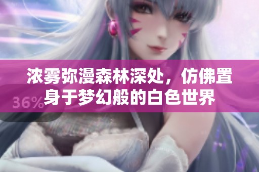 浓雾弥漫森林深处，仿佛置身于梦幻般的白色世界
