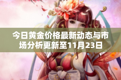今日黄金价格最新动态与市场分析更新至11月23日
