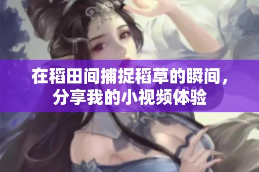 在稻田间捕捉稻草的瞬间，分享我的小视频体验