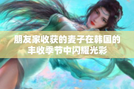 朋友家收获的麦子在韩国的丰收季节中闪耀光彩
