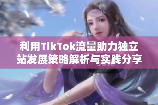 利用TikTok流量助力独立站发展策略解析与实践分享
