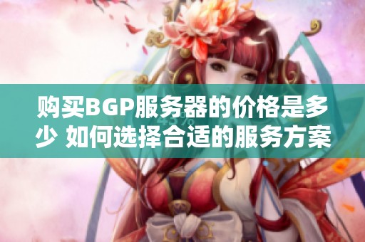 购买BGP服务器的价格是多少 如何选择合适的服务方案