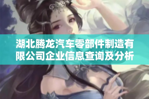 湖北腾龙汽车零部件制造有限公司企业信息查询及分析报告
