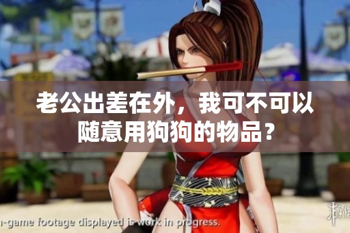 老公出差在外，我可不可以随意用狗狗的物品？