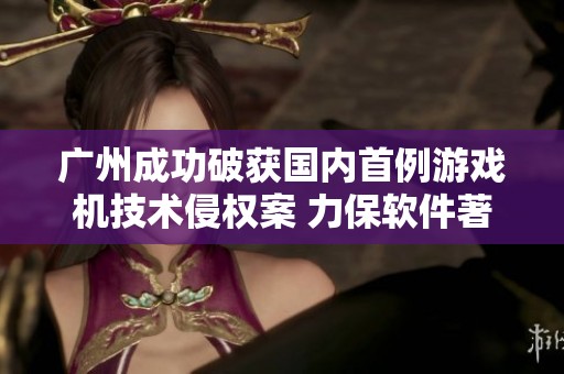 广州成功破获国内首例游戏机技术侵权案 力保软件著作权安全