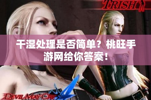 干湿处理是否简单？桃旺手游网给你答案！