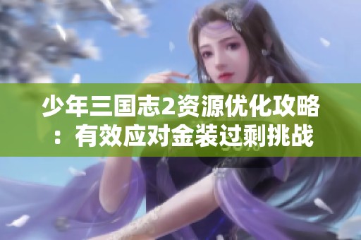 少年三国志2资源优化攻略：有效应对金装过剩挑战