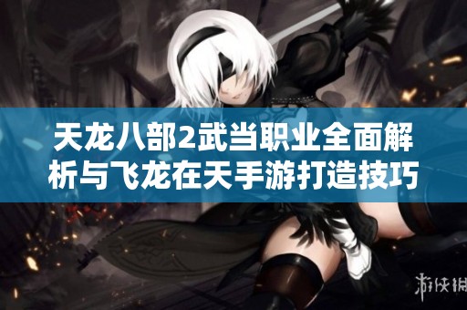 天龙八部2武当职业全面解析与飞龙在天手游打造技巧分享