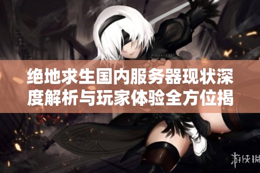绝地求生国内服务器现状深度解析与玩家体验全方位揭秘