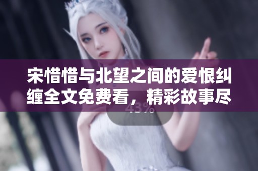 宋惜惜与北望之间的爱恨纠缠全文免费看，精彩故事尽在其中