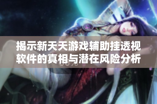 揭示新天天游戏辅助挂透视软件的真相与潜在风险分析