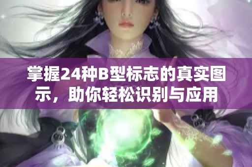 掌握24种B型标志的真实图示，助你轻松识别与应用