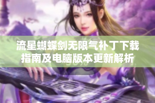 流星蝴蝶剑无限气补丁下载指南及电脑版本更新解析