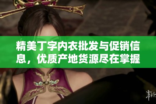 精美丁字内衣批发与促销信息，优质产地货源尽在掌握