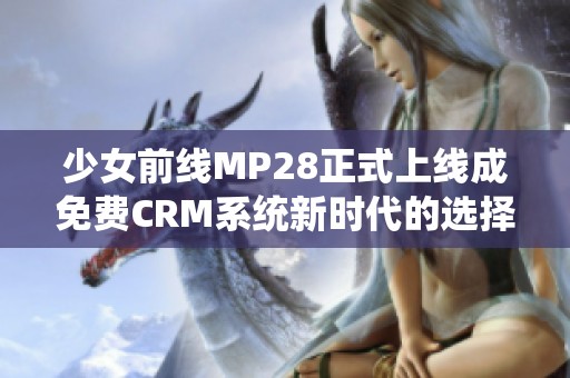 少女前线MP28正式上线成免费CRM系统新时代的选择