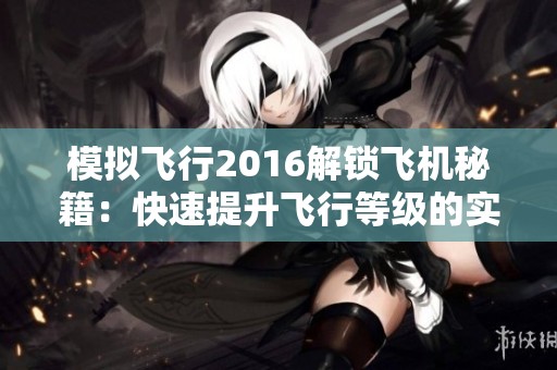模拟飞行2016解锁飞机秘籍：快速提升飞行等级的实用技巧分享