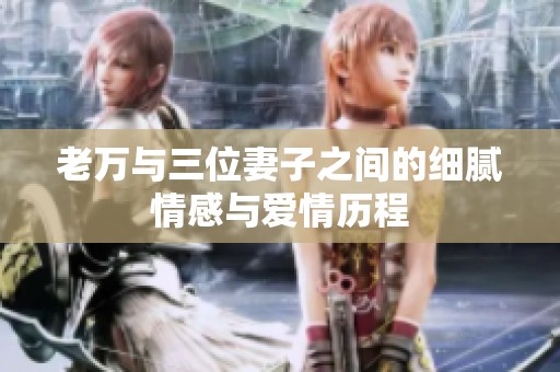 老万与三位妻子之间的细腻情感与爱情历程