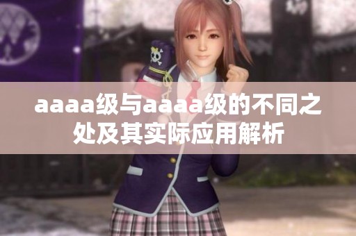 aaaa级与aaaa级的不同之处及其实际应用解析