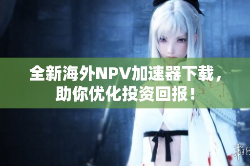 全新海外NPV加速器下载，助你优化投资回报！