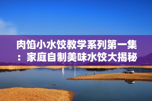 肉馅小水饺教学系列第一集：家庭自制美味水饺大揭秘