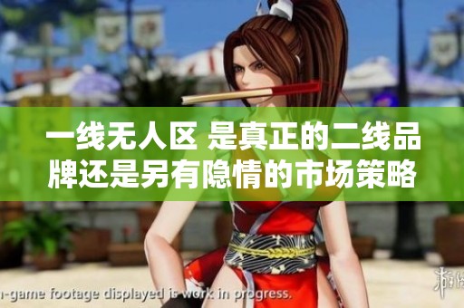 一线无人区 是真正的二线品牌还是另有隐情的市场策略