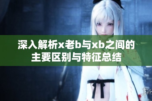 深入解析x老b与xb之间的主要区别与特征总结