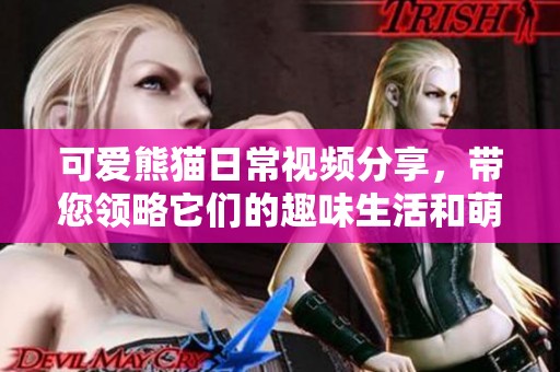 可爱熊猫日常视频分享，带您领略它们的趣味生活和萌态反应