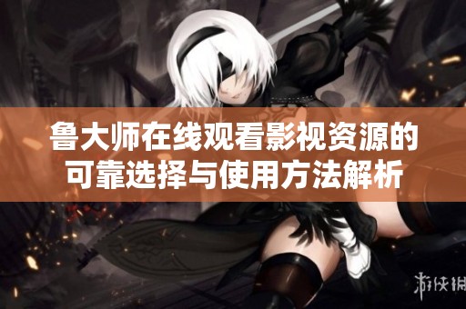 鲁大师在线观看影视资源的可靠选择与使用方法解析