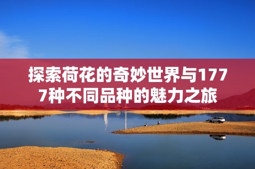 探索荷花的奇妙世界与1777种不同品种的魅力之旅