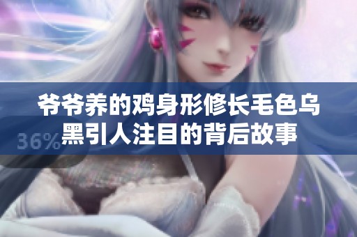 爷爷养的鸡身形修长毛色乌黑引人注目的背后故事