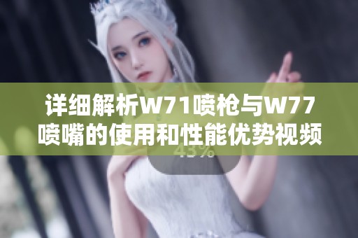 详细解析W71喷枪与W77喷嘴的使用和性能优势视频分享