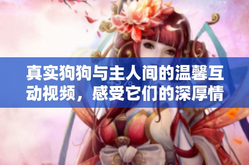 真实狗狗与主人间的温馨互动视频，感受它们的深厚情感与乐趣