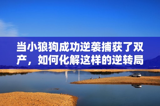 当小狼狗成功逆袭捕获了双产，如何化解这样的逆转局面呢