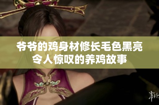 爷爷的鸡身材修长毛色黑亮令人惊叹的养鸡故事