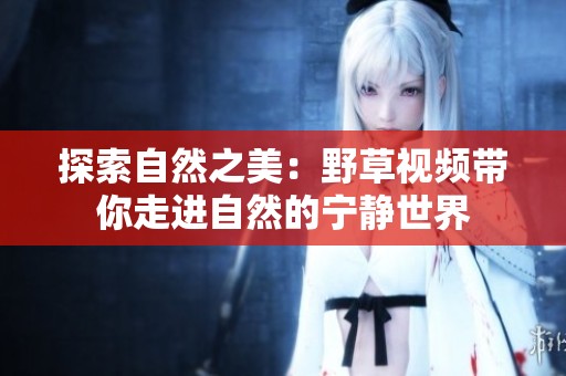 探索自然之美：野草视频带你走进自然的宁静世界