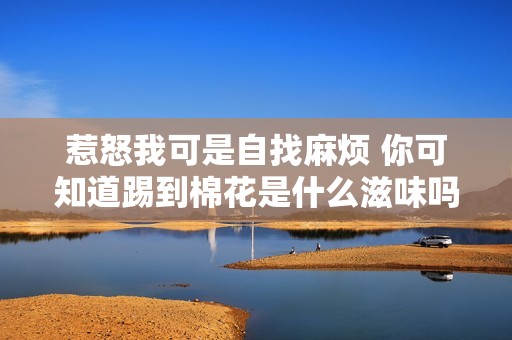 惹怒我可是自找麻烦 你可知道踢到棉花是什么滋味吗