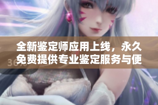 全新鉴定师应用上线，永久免费提供专业鉴定服务与便捷体验