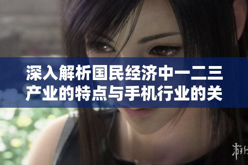 深入解析国民经济中一二三产业的特点与手机行业的关联性